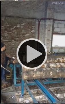 方木多片鋸，全自動圓木方木生產流水線加工